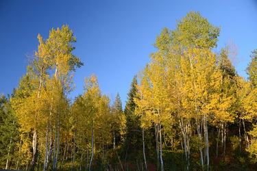 只是别忘记宣传标语