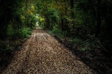 在历史中懂得感恩的名人名言114条