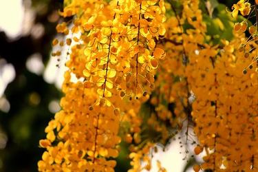 奥斯特洛夫斯基的名句