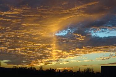 表达礼小情意大的名人名言42条