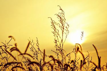 作者一起成功创作的小说情节构思新颖，题材独具匠心跌宕起伏扣人心弦