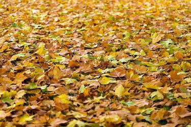 2019年情感经典语录