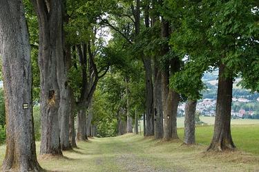 赞美科学的名言有名人名言119条