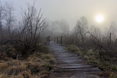 名人名言哲理周国平73条