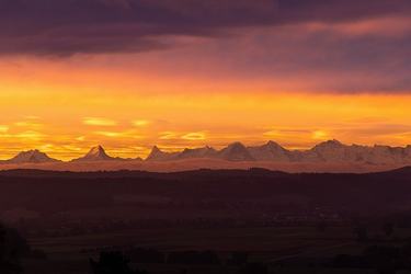 团结合作的名言警句