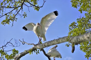 描写衣食住行好句子24条