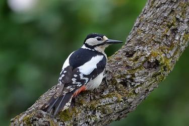 工作中价值取向的名人名言40条