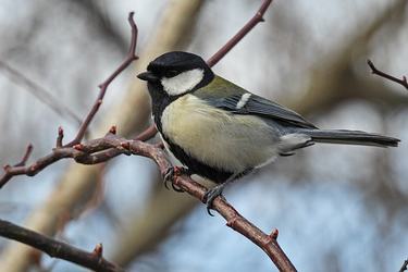 qq空间名人名言欣赏50条