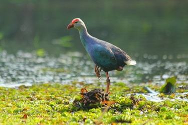 写给男朋友唯美的句子