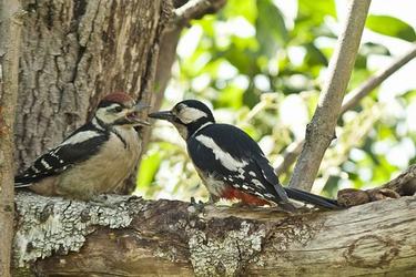 教室名人名言及名人简介49条