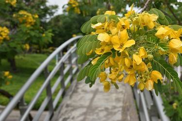 形容生活中的美的名人名言60条