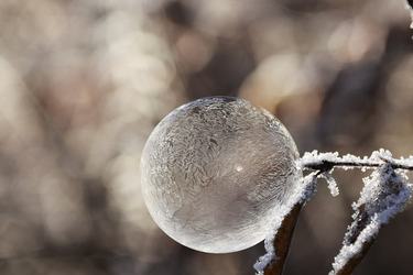 名人名言香港一日游的名言87条