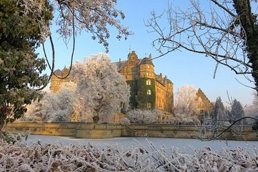 友谊是一朵花名人名言58条