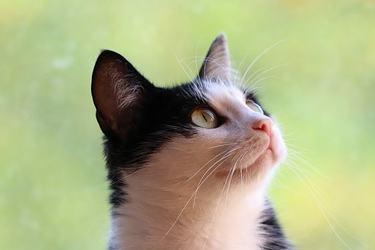 我的个性的名人名言37条