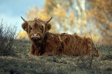 励志的诗句霸气