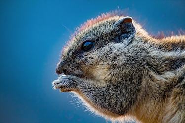 晚安语录说给女朋友
