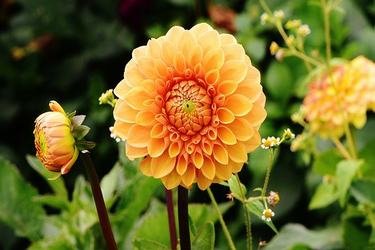 不浪费粮食的名人名言和古诗64条