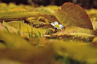 2019最经典个性签名