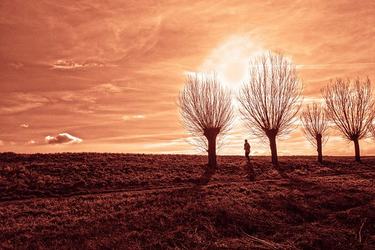 爱情彼此祝福的一句话