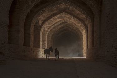 梦想句子名人名言国人107条