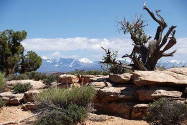 带歇斯底里的情感说说