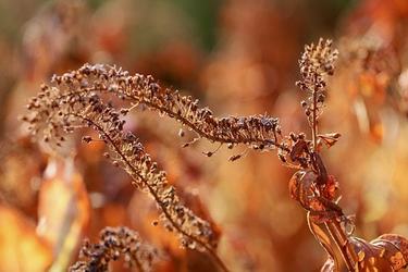 被好朋友欺骗的说说