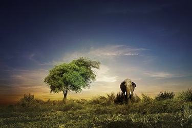 用饱经风霜的手造句