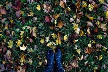 有感情朗读的名人名言35条