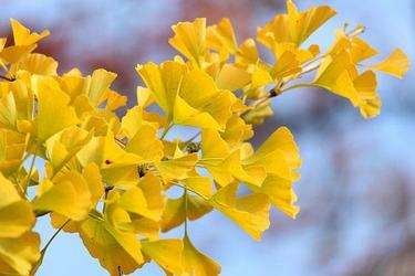 表达爱的话语对女儿