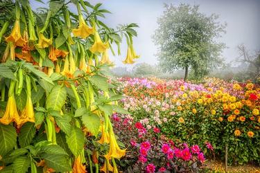 给男朋友的暖心留言