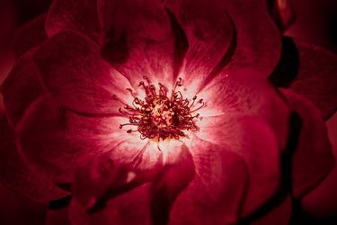 解释自己喜欢的名人名言英语36条