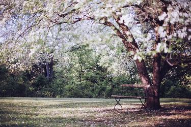 真诚助人的名人名言名句85条