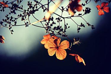 qq说说伤感短语