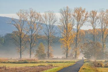 伤感诗句个性签名