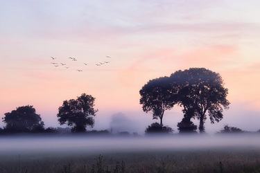 被爱人欺骗与背叛句子