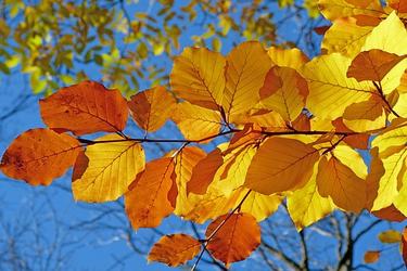 一句话心情微博