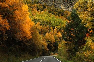 炒股炒基的名人名言32条