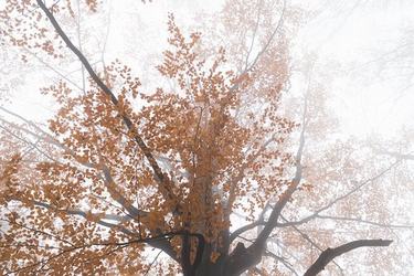 和女朋友和好的励志说说34条