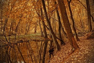 激奋公司名人名言71条