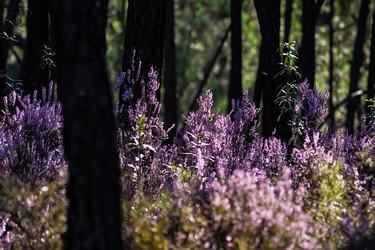 奋斗正能量励志句子简短,励志坚持正能量简短句