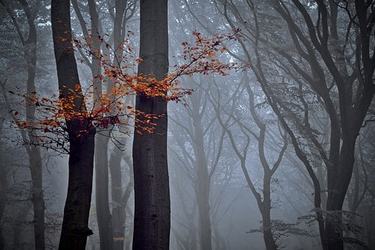 描写一个家庭和睦的句子36条