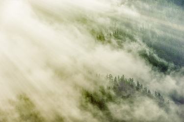 在风雨中起舞名人名言31条