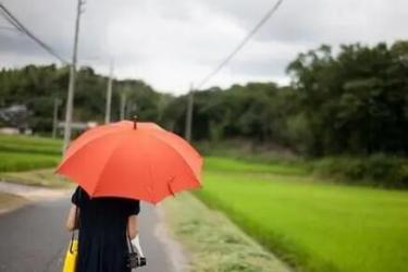 一句话凉透人心的短句子