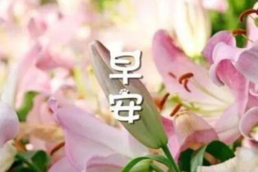 早上好祝福语优美句子