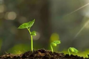 不负韶华励志短句 不负韶华的励志语录