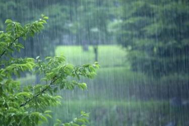 外面下着雨经典句子 外面下着雨的说说